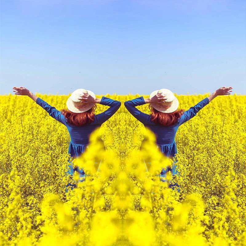 Mirror Effect Lens - Capture Stunning Reflections Instantly