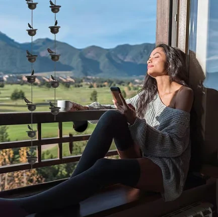 🔥Limited Time Sale 49% OFF🔥Where Rain Meets Art – Decorative Rain Chain with Bird Bath Design