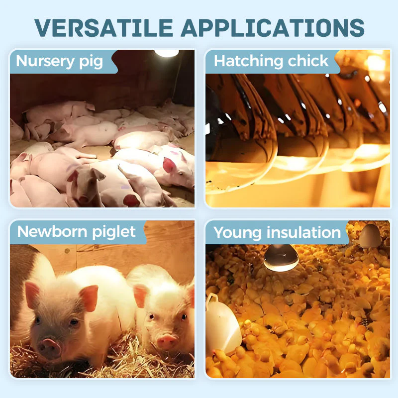 ✨【Waterproof Energy-Saving Livestock Heat Lamp Bulbs】✨