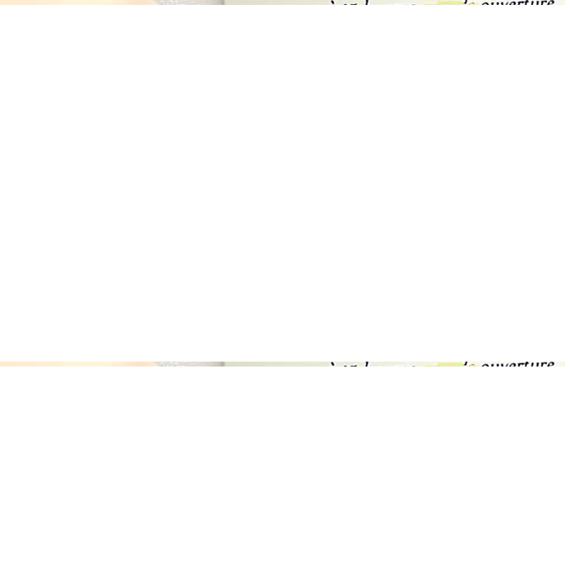 Portable and Efficient Electric Peeler